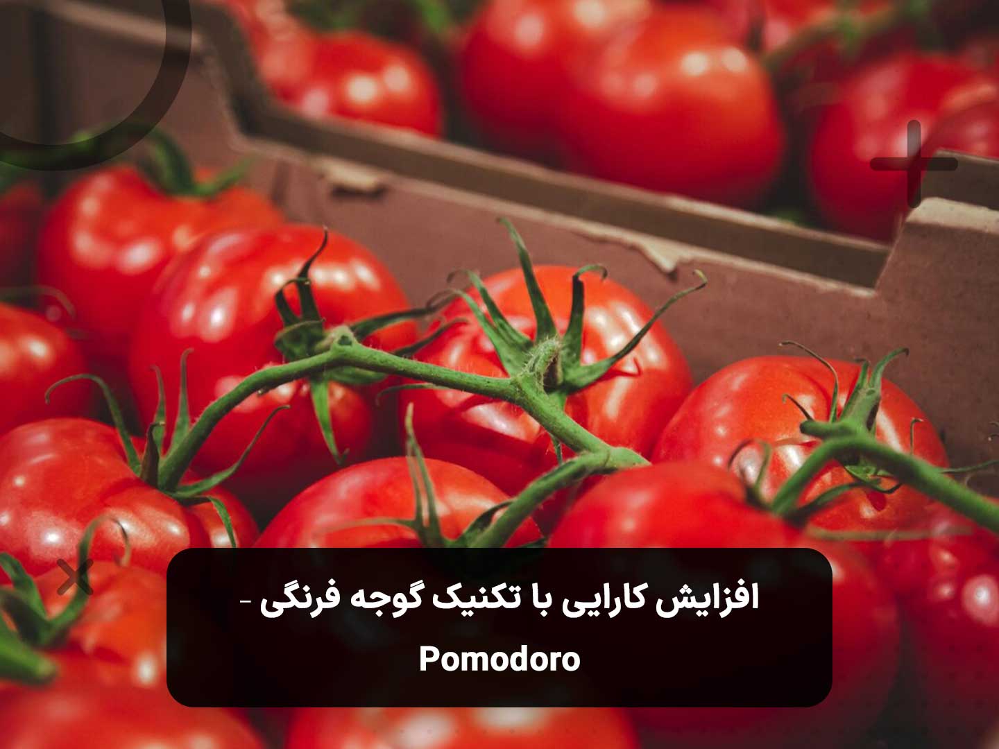تکنیک گوجه فرنگی برای افزایش کارایی و مدیریت زمان Pomodoro