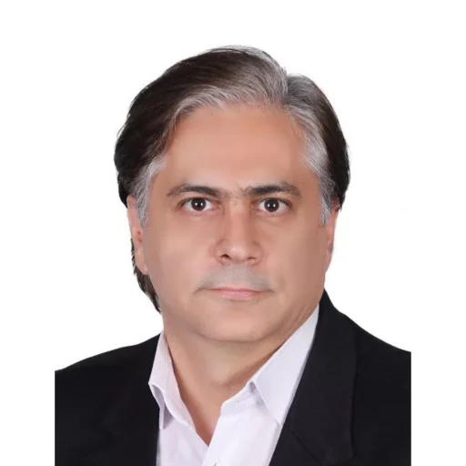 شاهین لطفی